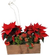 Classic Christmas Planter 