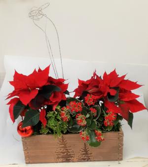 Classic Christmas Planter 