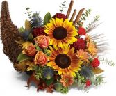 BOUNTIFUL BEAUTY CORNUCOPIA