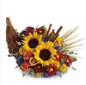 Standard Cornucopia  