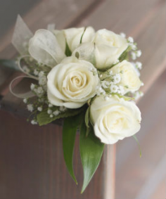 Category Image