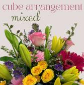 CUBE Arrangement-Mixed 