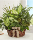 Purchase this funeral home arrangement