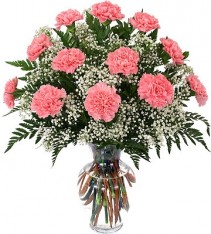 Classic Dozen Carnations Vase Arrangement