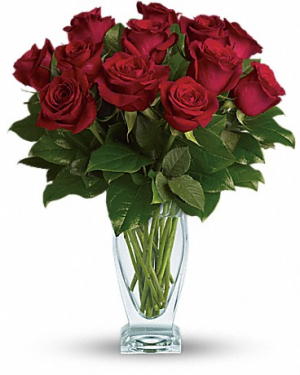 Classic Dozen Red Roses in Winnipeg, MB | KINGS FLORIST LTD Classic Dozen Red Roses in Winnipeg, MB | KINGS FLORIST LTD