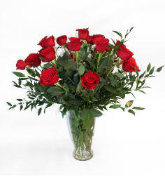 Category Image