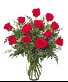 Classic dozen red roses Any occasion 