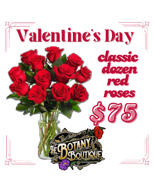 Classic Dozen Red Roses Valentine's Day