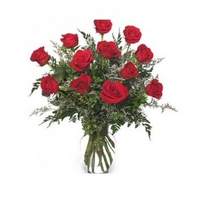 Dozen  Red Roses Premium
