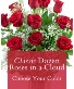 CLASSIC DOZEN ROSES IN A CLOUD CHOOSE YOUR COLOR