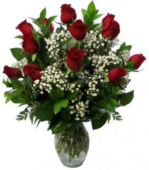 CLASSIC DOZEN ROSES LONG -STEM ROSES 