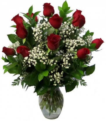 CLASSIC DOZEN ROSES LONG -STEM ROSES