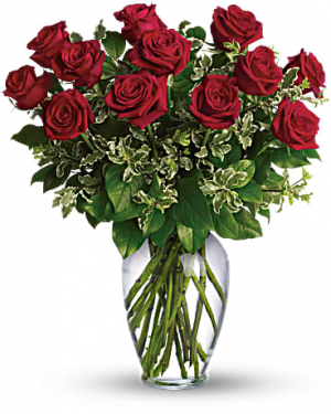 CLASSIC DOZEN ROSES RED ROSE ARRANGEMENT