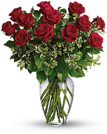 CLASSIC DOZEN ROSES RED ROSE ARRANGEMENT in Southern Pines, NC | Hollyfield Design Inc.