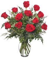 Classic Dozen Roses Red Rose Arrangement