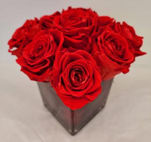 Classic "Forever" Rose Cube Perfectly Preserved Red Roses