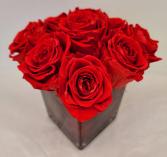 Classic "Forever" Rose Cube Preserved Red Roses