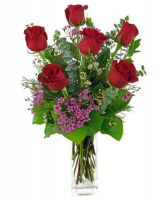Classic Half Dozen Red Roses in a Vase (See Note) Roses, Vased