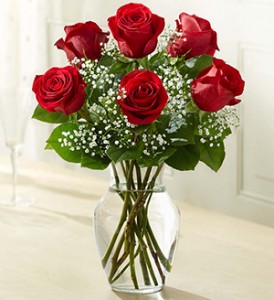 Classic Half Dozen Vase Long Stem Red Roses with Baby's Breath and Greenery in Clearwater, FL | FLOWERAMA