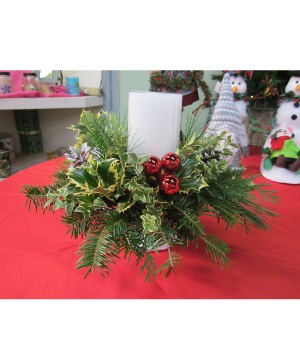 Classic Holly Centerpiece centerpiece