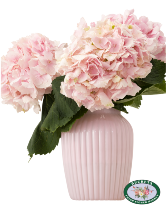 Classic Hydrangea Vase Arrangement