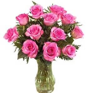 classic pink dozen roses roses
