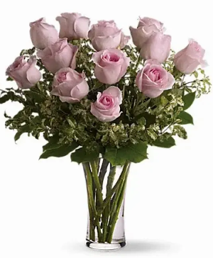 Classic Pink Roses 