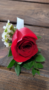 Classic Red Rose 