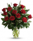 Classic Red Roses 