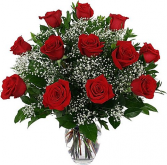 Classic Red Roses 