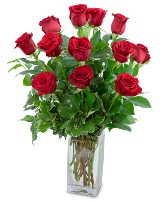 Classic Red Roses 