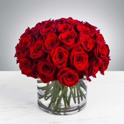 Classic Red Roses.  By the Dz 