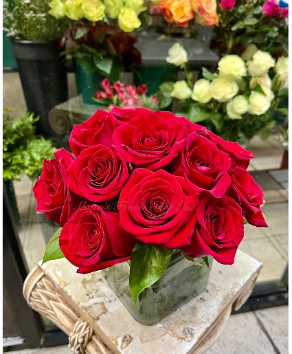 Classic Red roses Low compact  