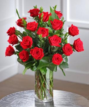Classic red roses rose