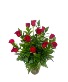 CLASSIC RED ROSE'S  ROSE ARRANGEMENT 