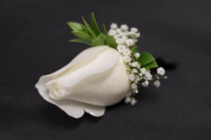 Category Image