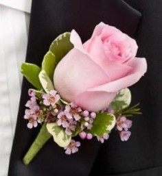 Category Image