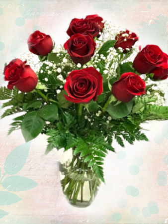 Classic Rose Dozen Valentine's Day
