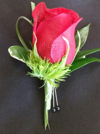 CLASSIC ROSE RED