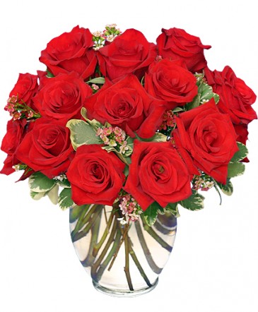 Classic Rose Royale 18 Red Roses Vase in Santa Clarita, CA | Rainbow Garden And Gifts