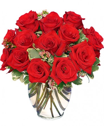 Classic Rose Royale 18 Red Roses Vase in Miami, FL | FLOWERTOPIA