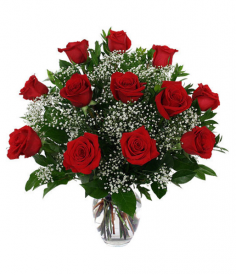 Category Image