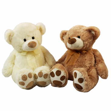 Classic Teddy Bear with Paws Classic Teddy Bear with Paws in Lenoir, NC | ABIGAILS GIFTS AND FLORIST