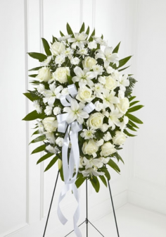 Category Image