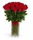 Classic Two Dozen Roses Valentine’s Day