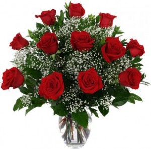 Classic Red Roses 