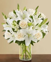 Classic White - 00375 
