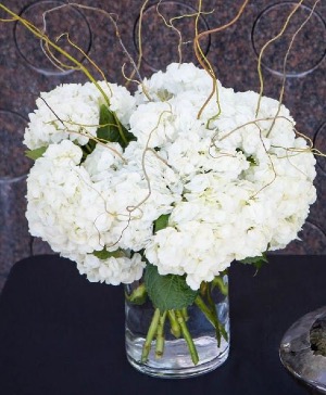 Classic White Hydrangea  Clear Cylinder 