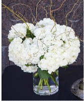 CLASSIC WHITE HYDRANGEA CLEAR CYLINDER