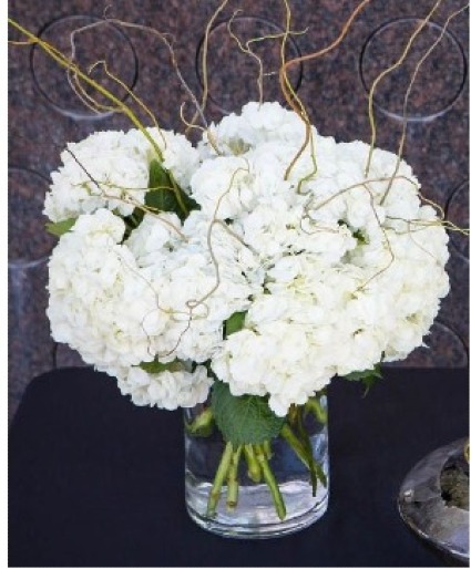 CLASSIC WHITE HYDRANGEA CLEAR CYLINDER